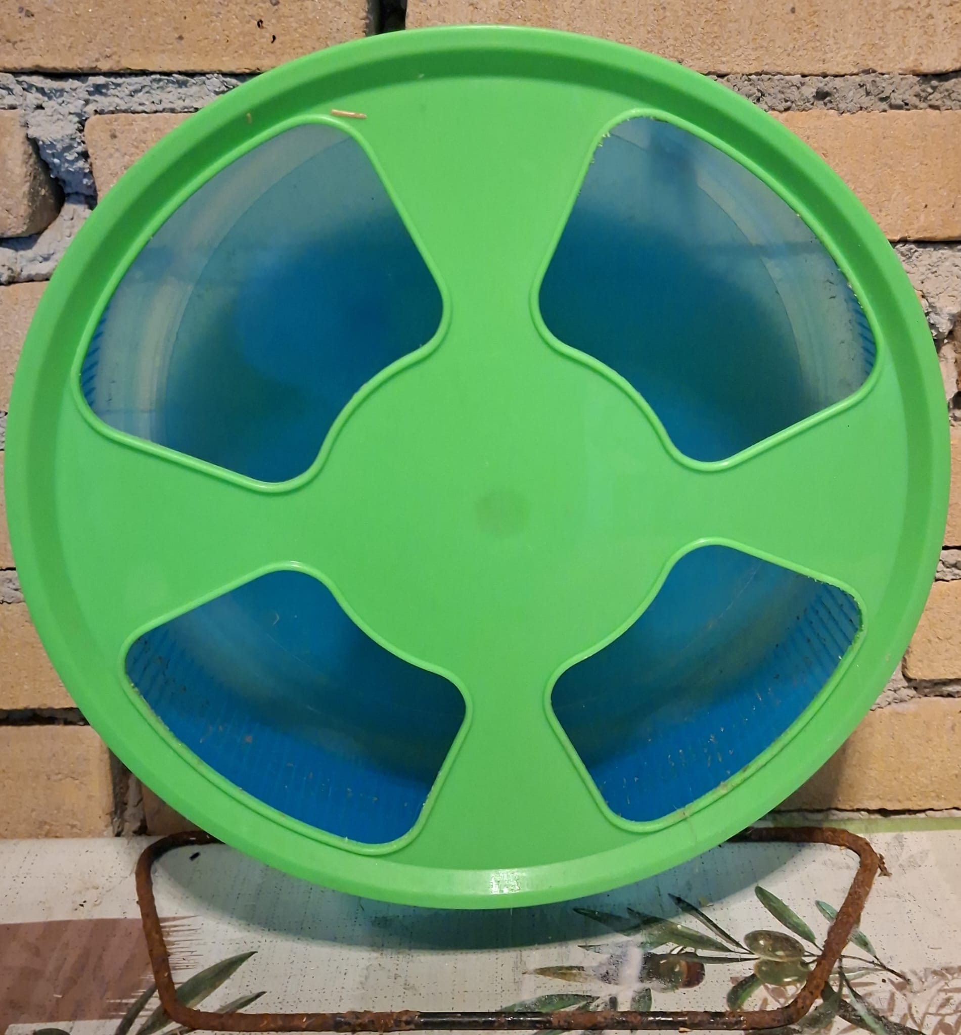 Groen met blauw trixie loopwiel